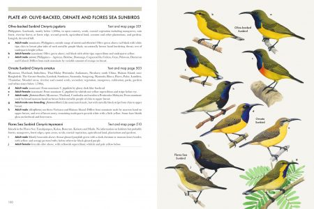 Spread Image (pp130-131)