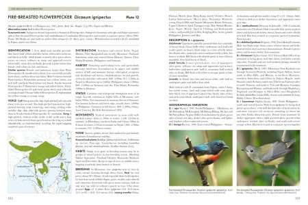 Spread Image (pp232-233)