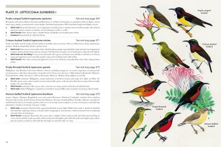 Spread Image (pp94-95)