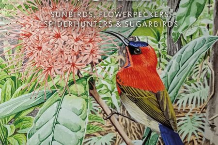 Sunbirds of the World - JACKET