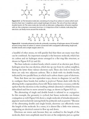 ThePhysicsofBirdsandBirding-page-127
