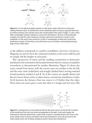ThePhysicsofBirdsandBirding-page-72